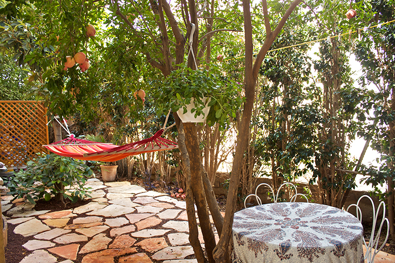 After our Galilee harvest of olives and pomegranates, a secluded place to relax is under the canopy of the pomegranate tree